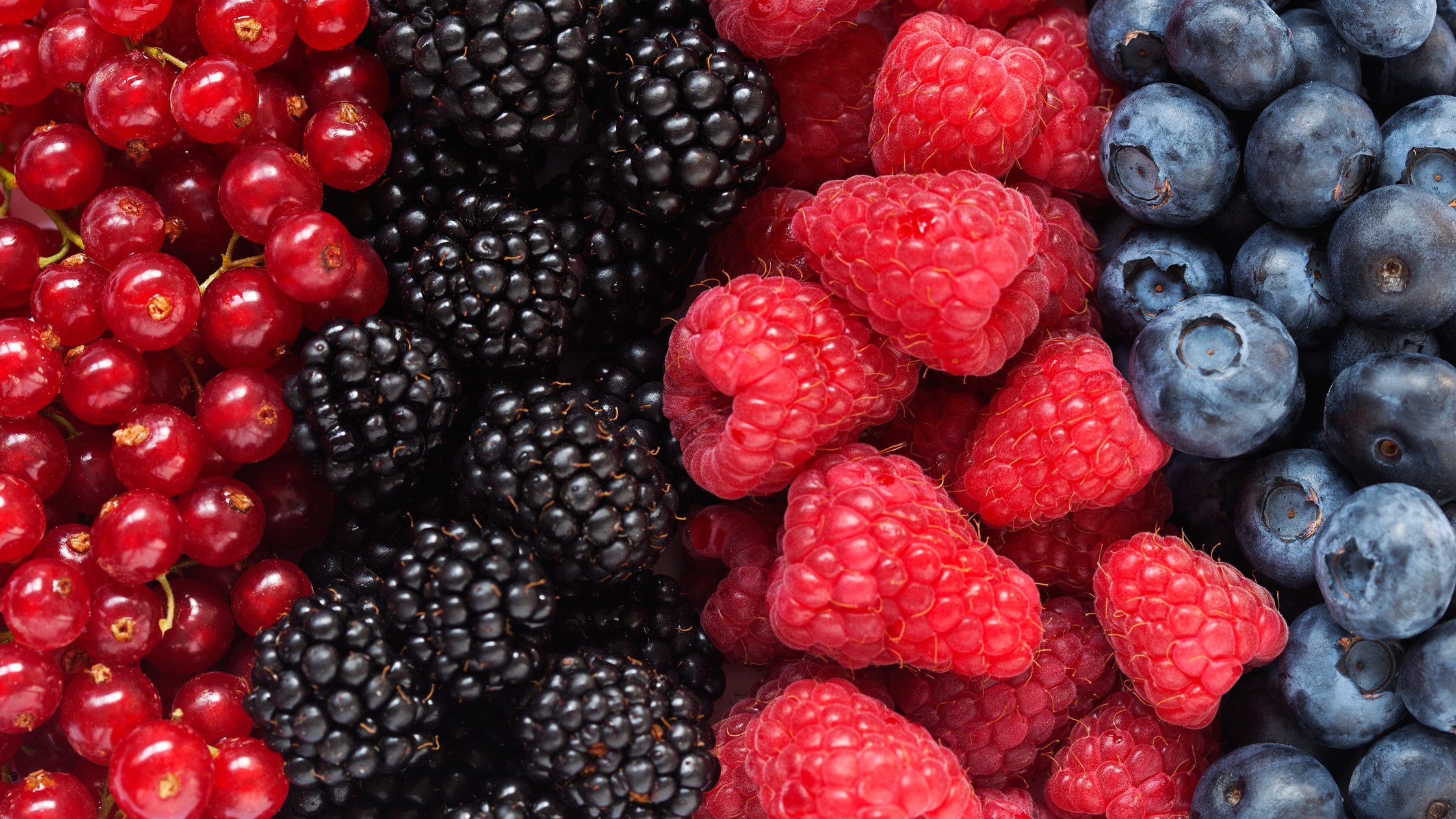 O que são antioxidantes e por que são importantes para a saúde